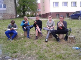 Powiększ obraz: 