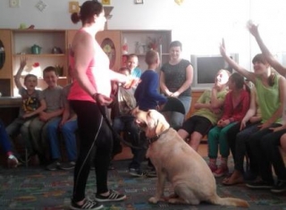 Powiększ obraz: 