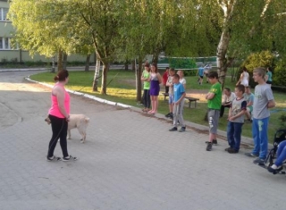 Powiększ obraz: 