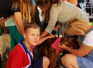 Powiększ obraz: 