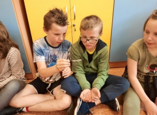 Powiększ obraz: 