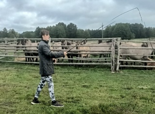 Powiększ obraz: 