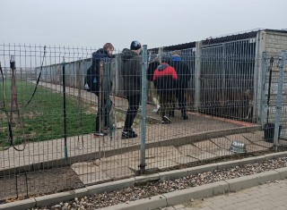 Powiększ obraz: 