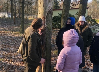 Powiększ obraz: 