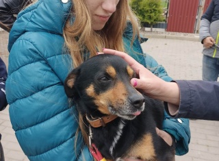 Powiększ obraz: 