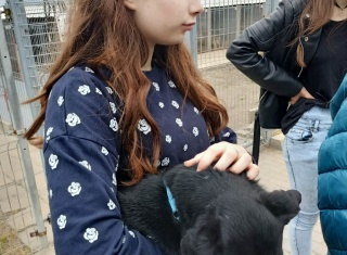 Powiększ obraz: 