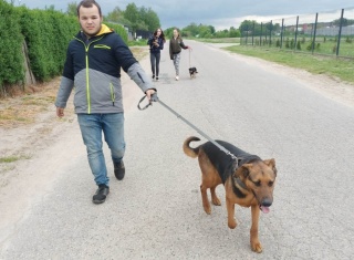 Powiększ obraz: 
