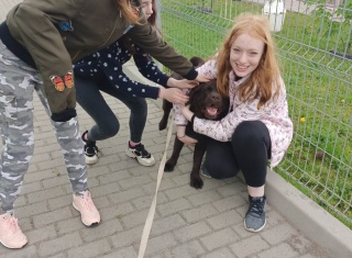 Powiększ obraz: 
