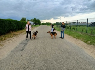 Powiększ obraz: 
