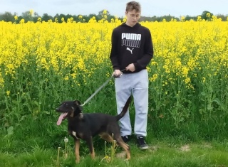 Powiększ obraz: 