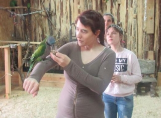 Powiększ obraz: 