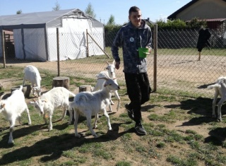 Powiększ obraz: 