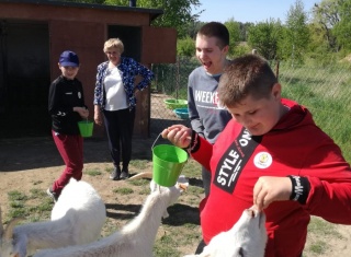 Powiększ obraz: 