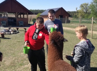 Powiększ obraz: 