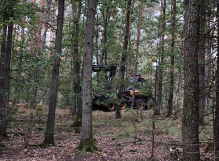 Powiększ obraz: 