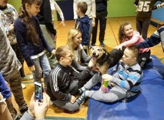 Powiększ obraz: 