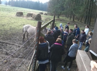 Powiększ obraz: 